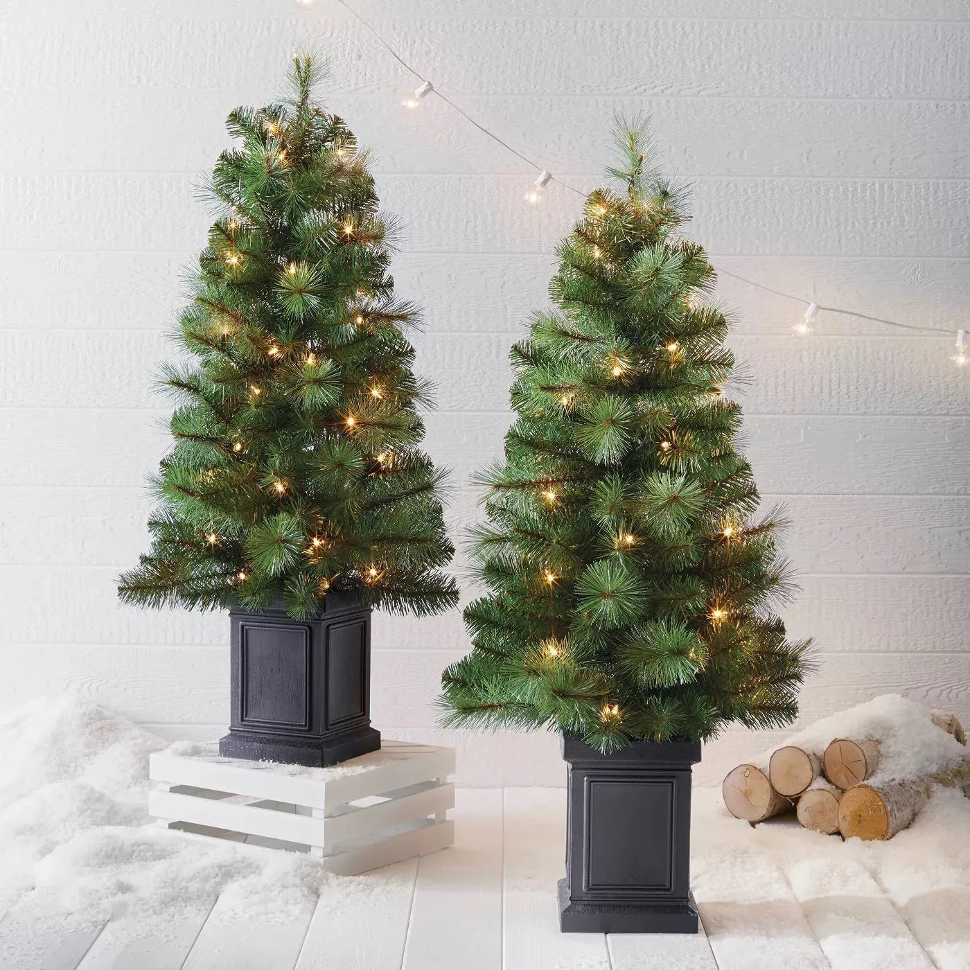 3.5' Mixed Cashmere Pre-Lit Potted Artificial Foyer Tree