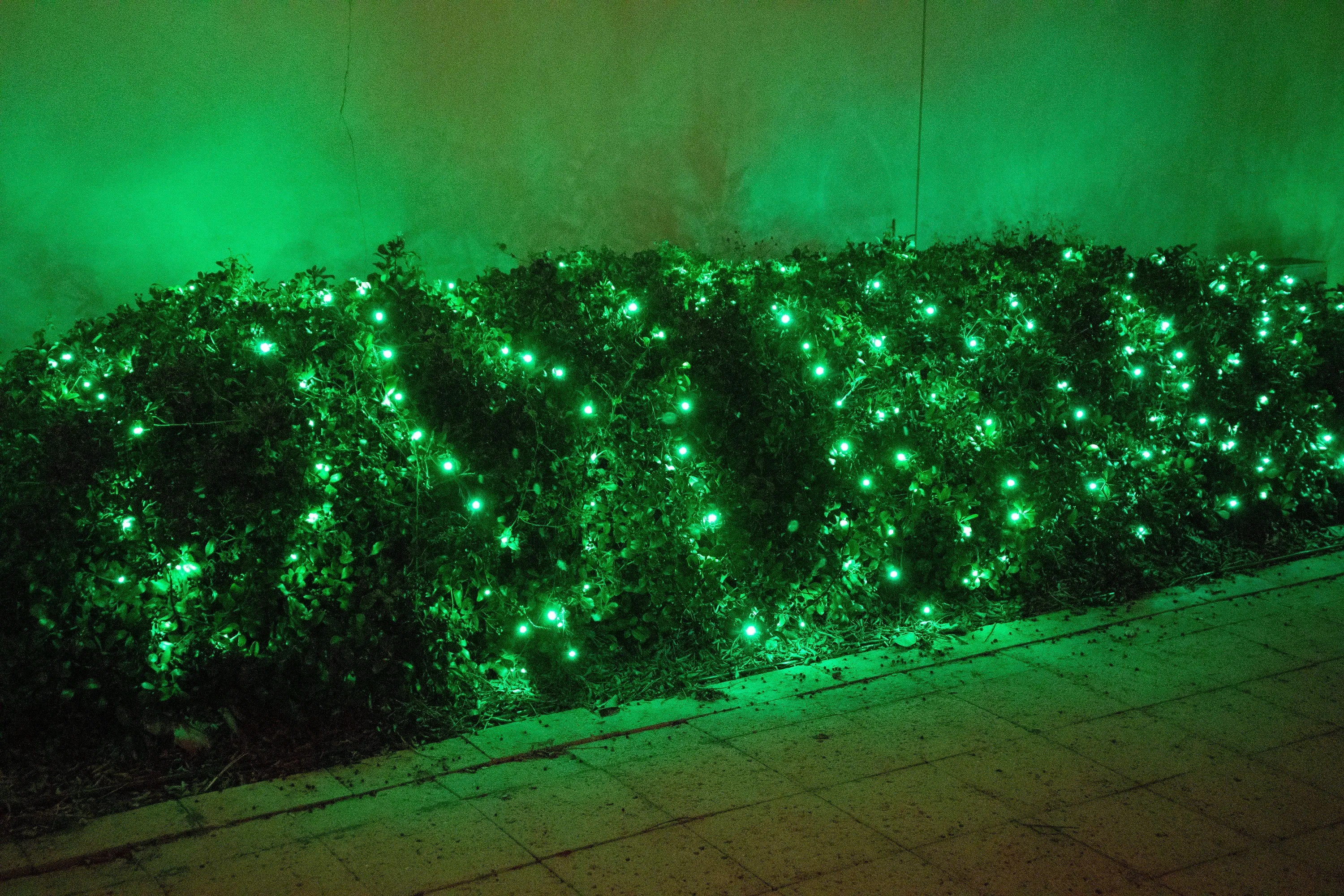 5mm 100L LED Christmas Lights Green