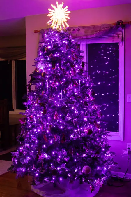 5mm 100L LED Christmas Lights Purple