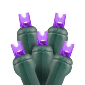 5mm 100L LED Christmas Lights Purple