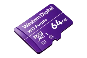64GB Surveillance-grade microSD card