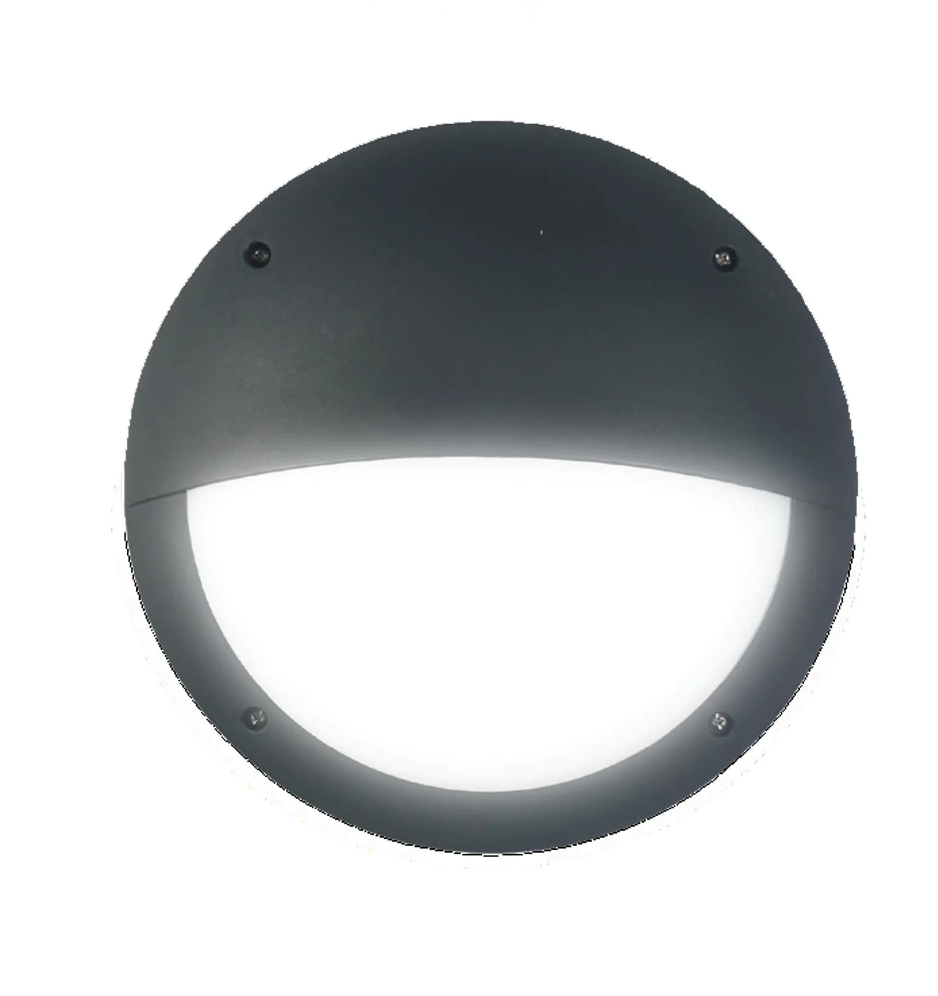 BULK: Exterior LED Eyelid Black Bulkhead Light IP66 IK10