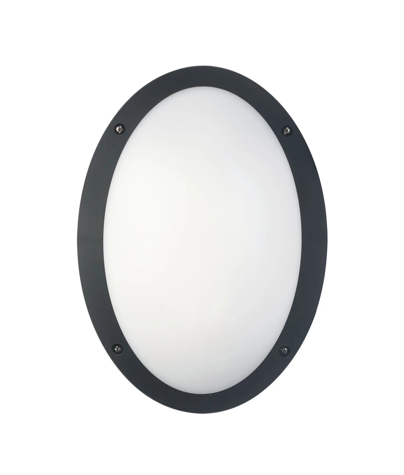 BULK: Oval LED Exterior Bulkhead Lights IP66 IK10