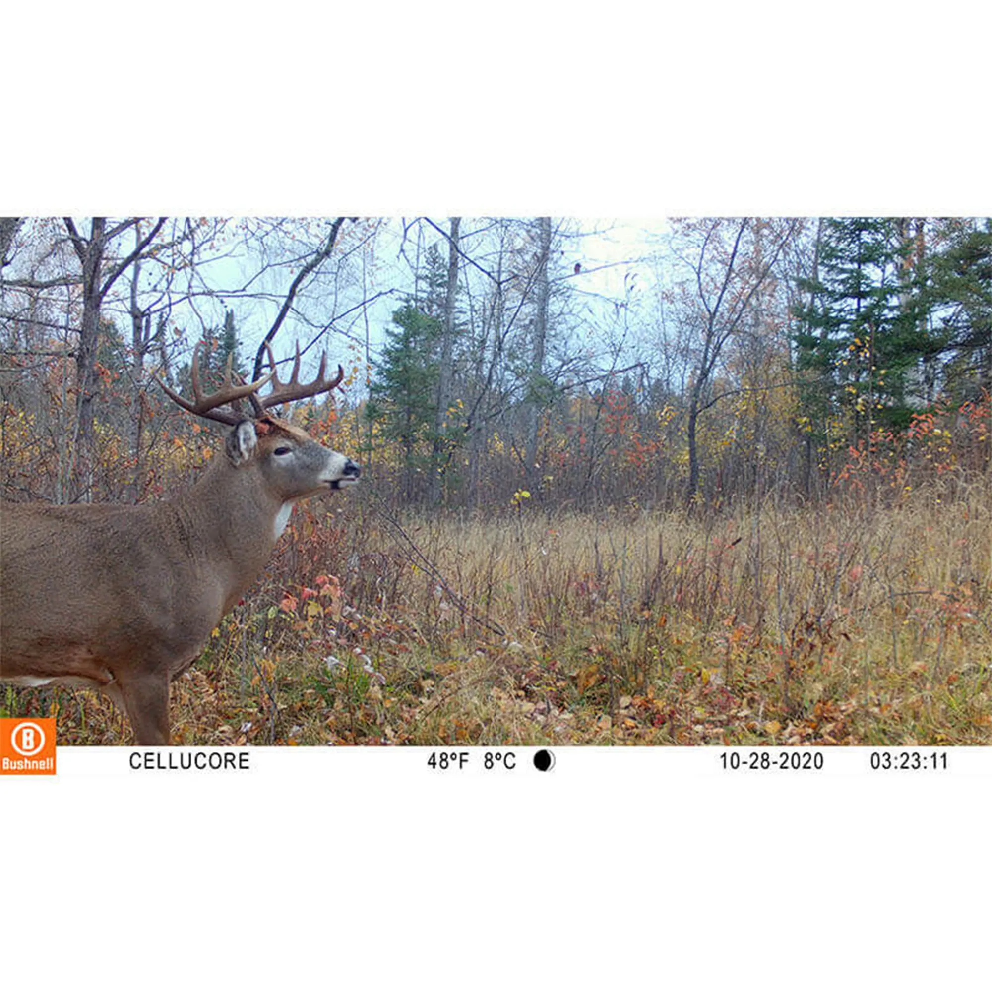 Bushnell CelluCORE™ Cellular Trail Camera