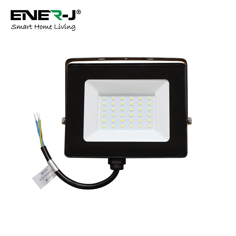 ENER-J 30W LED Flood light Pre Wired with ECO Series 500W Non Dimmable RF receiver