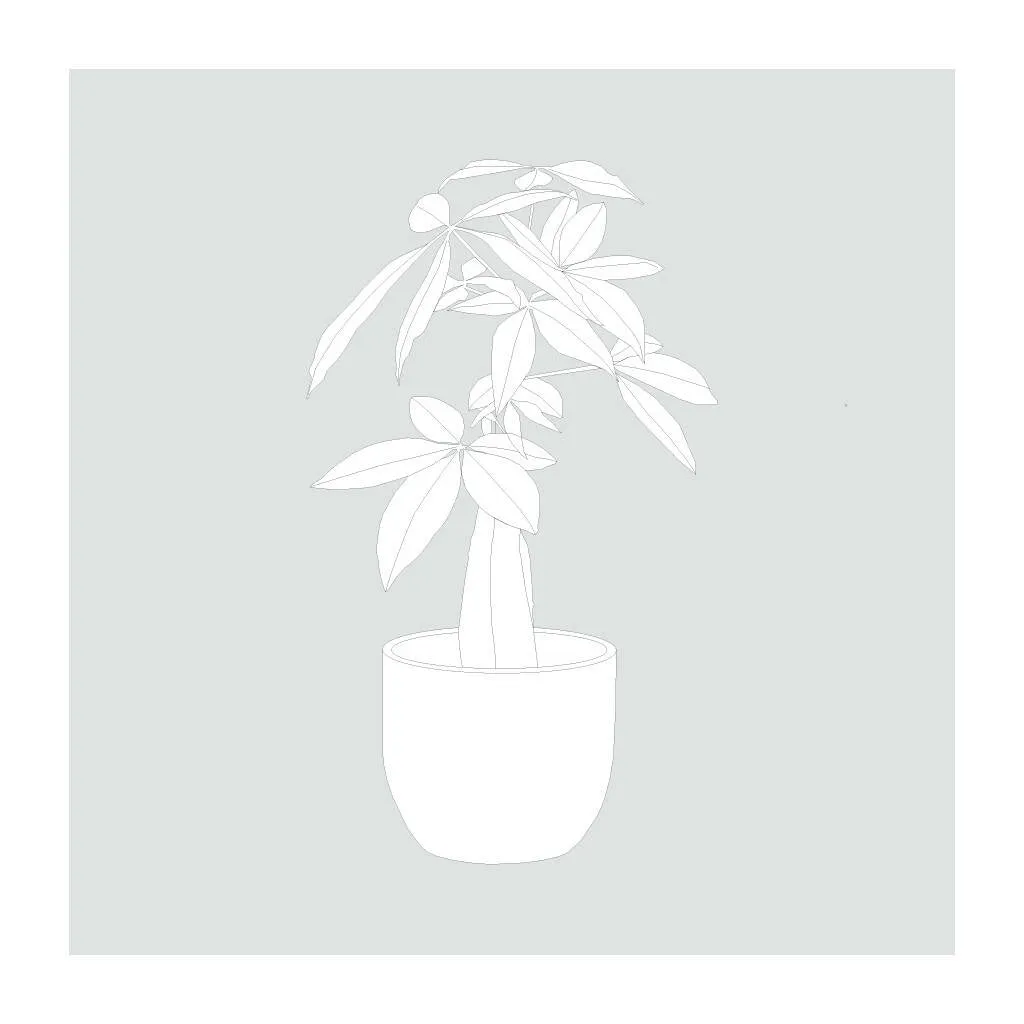 Indoor Plants Outline (20 Figures)
