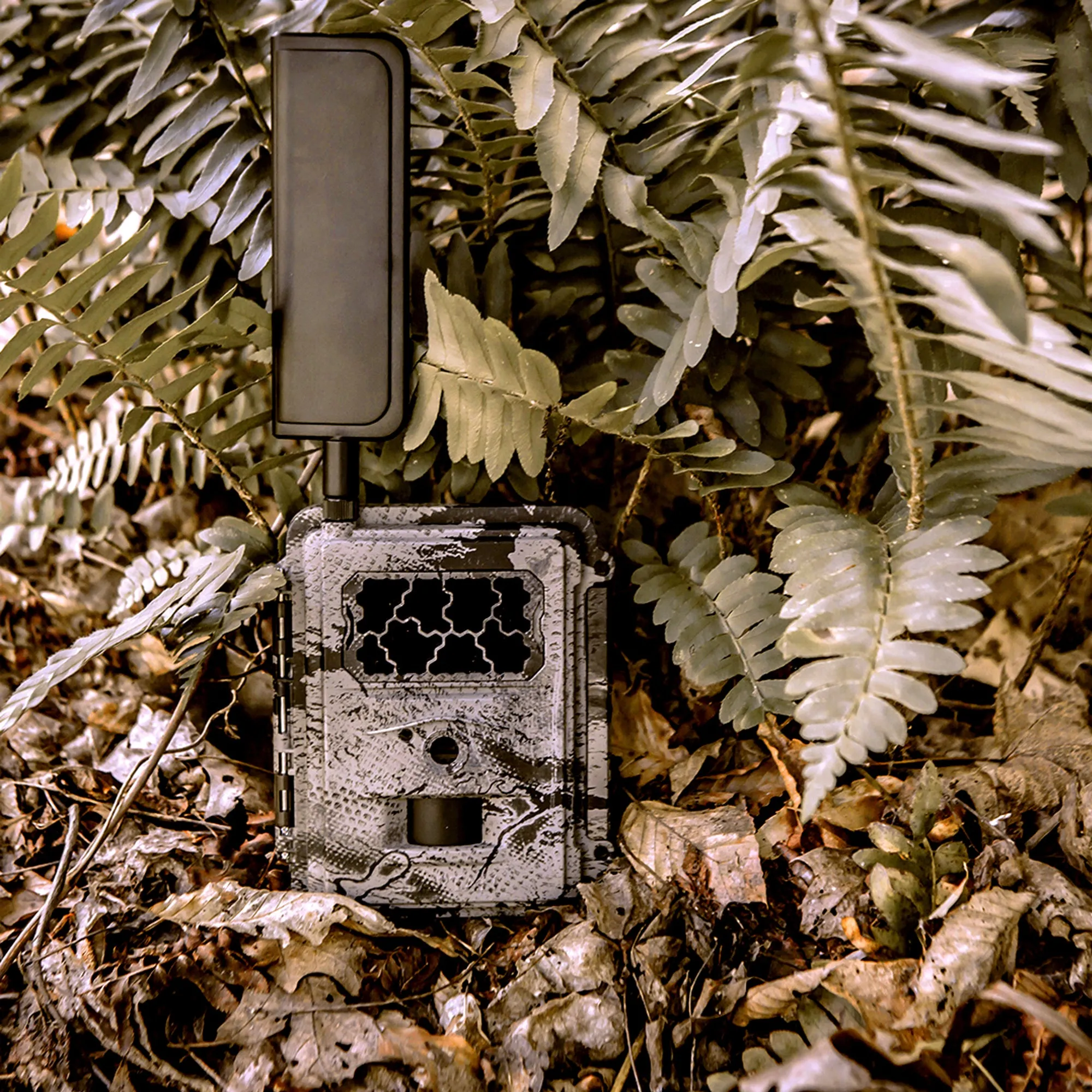 International (ZA) Spartan GoCam 4G/LTE