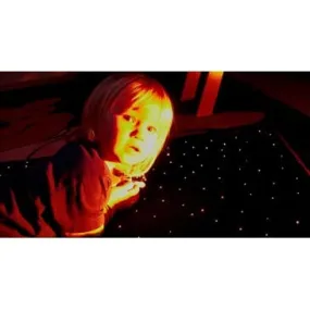 Luminea Carpet