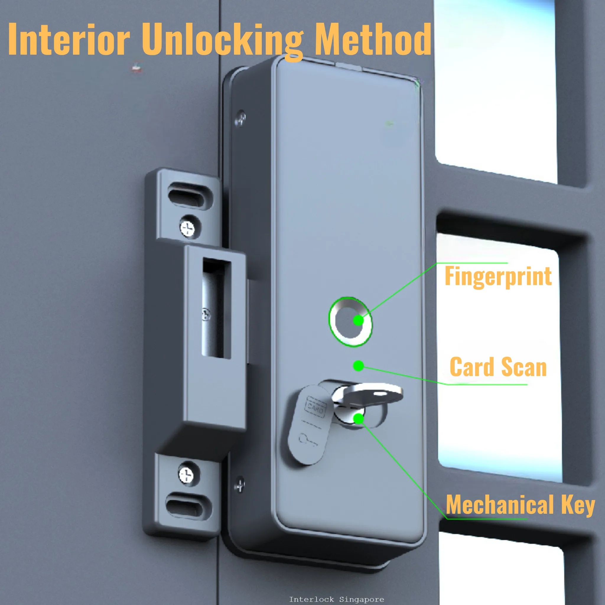 Mercury Door & Gate Lock Bundle