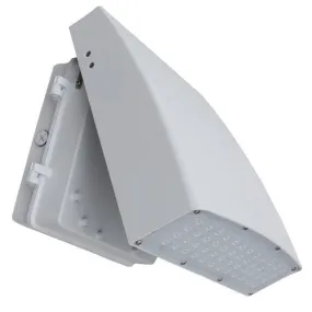 Morris Products 71151 12W LED Slim Line Flood- Wallpack  5000K White