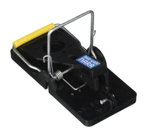 Snap-E Mousetrap