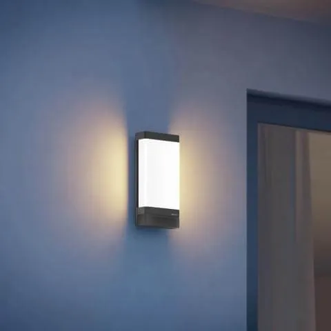 Steinel L 271 Digi C Anthracite Outdoor Wall Light  Smart Bluetooth Controlled LED Light Operated via App - Without Sensor & With Bluetooth