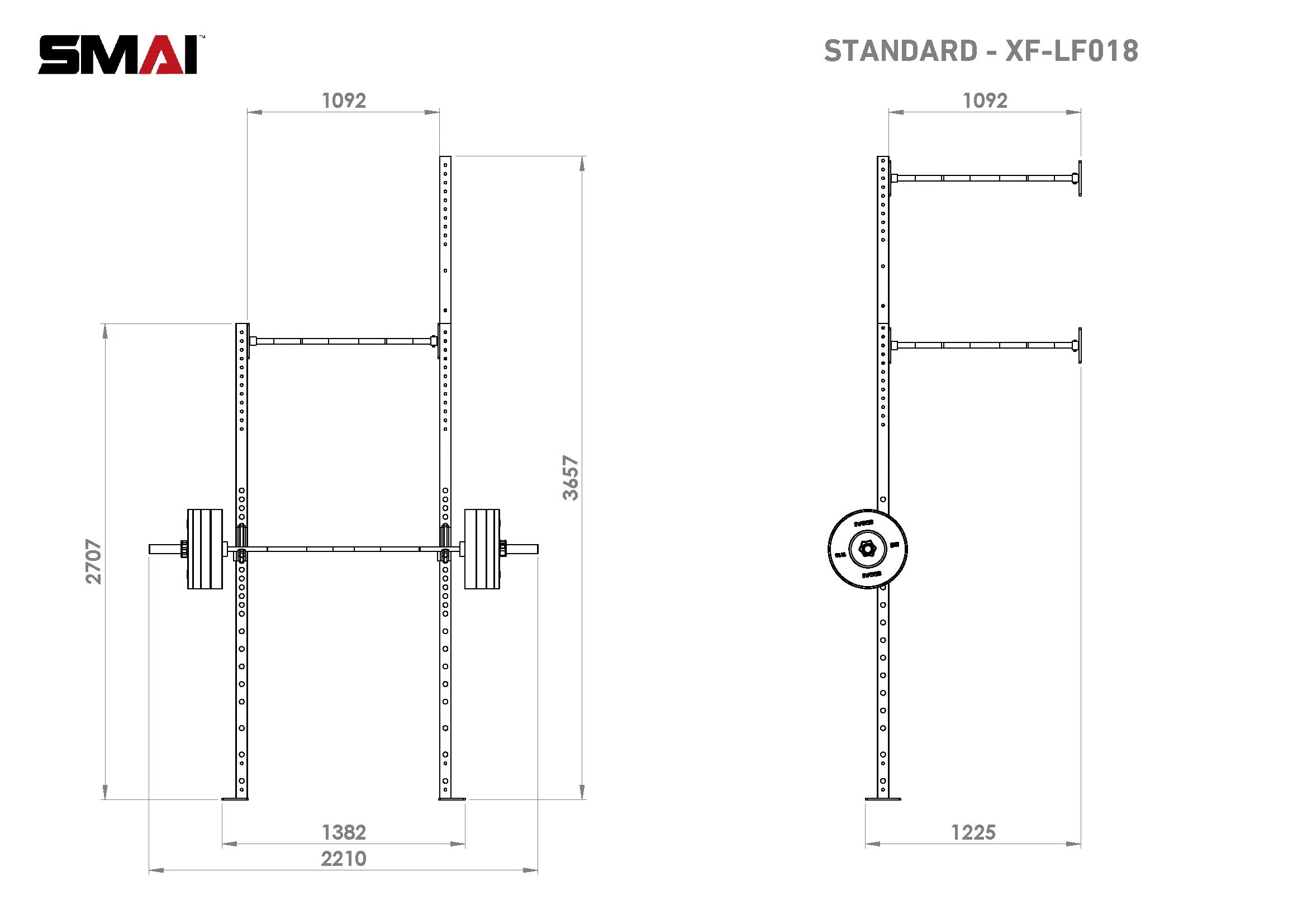 Wall Mounted Rig - 1 Squat Cell with Bridge - X-Frame